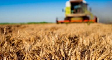 Türkiye İstatistik Kurumu, geçen yılın aralık ayına ilişkin Tarım-GFE verilerini açıkladı