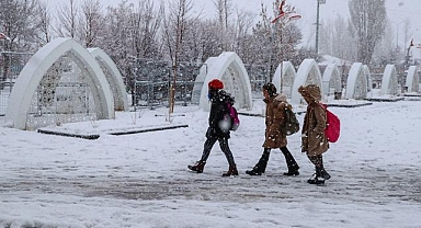 Van'da 3 ilçede kar nedeniyle eğitime ara verildi