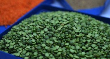 Yeşil mercimek ithalatında gümrük vergisi sıfırlandı