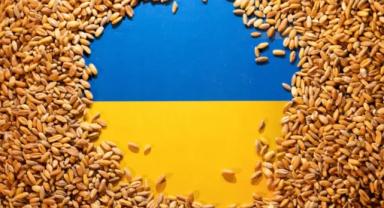 AB, Ukrayna'dan tarım ürünü ithalatına sınır getiriyor