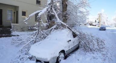 ABD'de 3 eyaleti etkisi altına alan fırtınada 2 kişi öldü