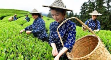 Çin, ilkbahar çiftçiliğini desteklemek için 830 milyon yuan tahsis etti