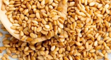 Japonlar Türk susamına hayran