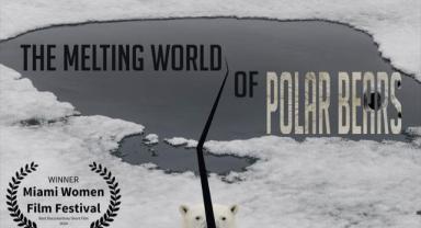 Miami Kadın Film Festivali'nden Anadolu Ajansına ödül