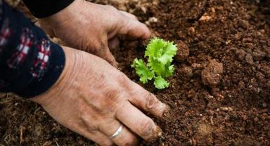 Tarımda Kadın Emeği Zirvesi yarın başlayacak