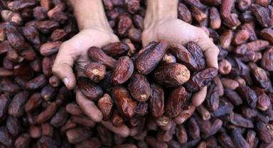 Türkiye, 5 yılda 261 milyon dolarlık hurma ithal etti