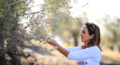 Ürettiği zeytinyağı ile dünyanın en iyi 4'üncü üreticisi oldu