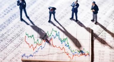 Yatırımcı rehberi (4)