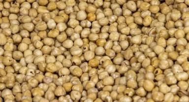 Düzce, AB ülkelerine ilk çeyrekte yaklaşık 4 bin ton iç fındık ihraç etti