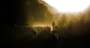 IPARD II kapsamında 45 proje 210,6 milyon lira hibe alacak