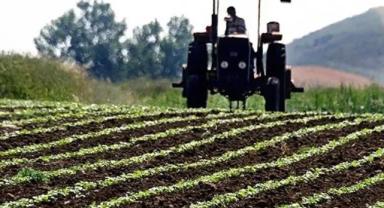 IPARD III kapsamında ilk çağrı için müracaatlar yarın başlıyor