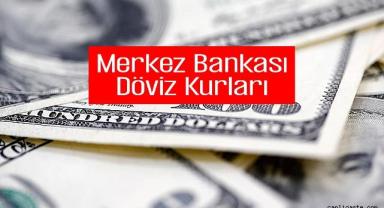 TCMB döviz kurları