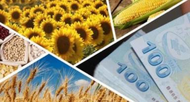 Çiftçilere bugün 1,2 milyar lira tarımsal destekleme ödemesi yapılacak