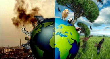 Küresel enerji güvenliği politikaları 