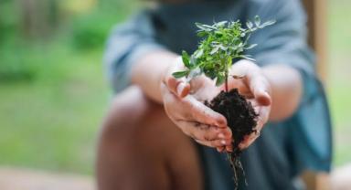 Schneider Electric, yılın ilk çeyreğindeki sürdürülebilirlik performansını paylaştı