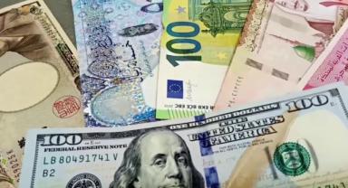 Serbest piyasada döviz açılış fiyatları 24- 05-2024