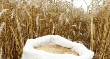 Tarım Ürünleri Piyasası Bülteni