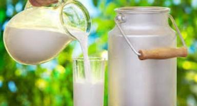 Türkiye'de 2023'te 21,5 milyon ton çiğ süt üretildi