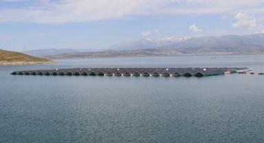 Türkiye'nin ilk yüzer güneş enerjisi santrali, elektrik üretimine haziranda başlıyor