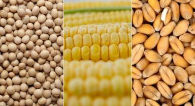 Emtia piyasası geçen hafta iç açıcı bir performans sergilemedi