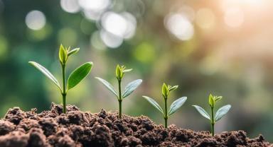 Enerji ve Tabii Kaynaklar Bakanlığından 5 yılda çevreye yaklaşık 1 milyar liralık yatırım