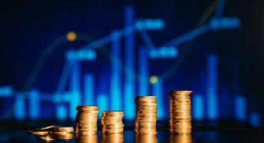 Fon yatırımcı sayısı Mayıs ayında 5 milyona dayandı