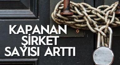 Mayısta kapanan şirket sayısı yüzde 49,2 arttı