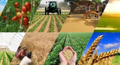 Tarım Kredi üretim ve depolama kapasitesini artırıyor