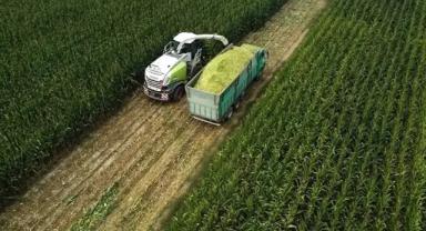 Tarım ÜFE haziranda aylık bazda yüzde 1,95 arttı