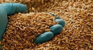 Tarımsal girdi fiyat endeksi, mayısta aylık yüzde 0,85, yıllık yüzde 53,08 arttı