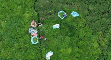 Türk çayı yılın ilk yarısında 112 ülkede alıcı buldu