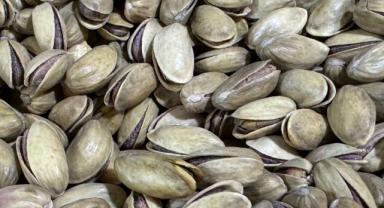 Türkiye'den 6 ayda 96,6 milyon dolarlık fıstık ihraç edildi