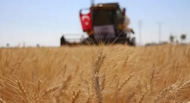 Tarım ÜFE temmuzda aylık bazda yüzde 1,74 azaldı