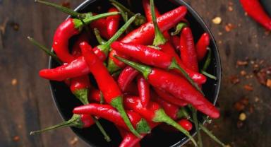 Ata tohumundan üretilen tescilli Cırgalan biberi yurt dışına da gönderiliyor