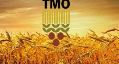 TMO hububat satışlarına başladı
