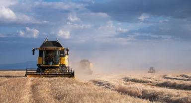 Bütçeden tarımsal desteklere 135 milyar lira ayrıldı