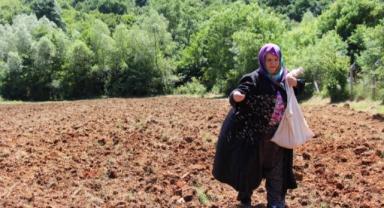 DenizBank'tan kadın çiftçilere özel kampanyalar