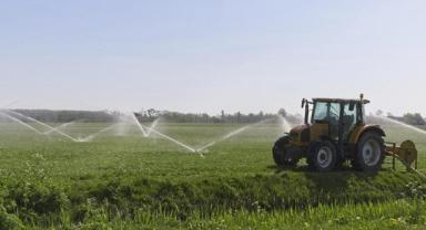 Dünya gıda üretiminin yarısından fazlası su krizi nedeniyle 2050'ye kadar risk altında olabilir