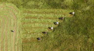 Tarım ve Orman Bakanlığı: 