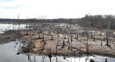 ABD’de kuraklık tehlikesi