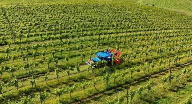 Çiftçilere 112,2 milyon lira tarımsal destekleme ödemesi yapılacak