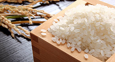 Japonya'da ortalama pirinç fiyatı ekimde rekor seviyede