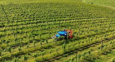 OECD: Tarım sektörü çok sayıda zorlukla karşı karşıya