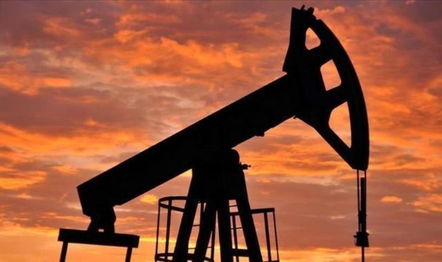 OPEC'in petrol üretimi ekimde günlük 466 bin varil arttı