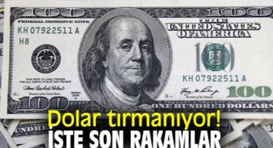 SON DAKİKA! Dolar yeniden tırmanışa geçti:Dolar/TL 34,59 seviyesinden işlem görüyor