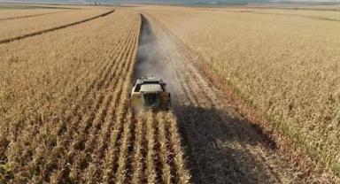 Tarım ÜFE ekimde aylık bazda yüzde 5,03 arttı