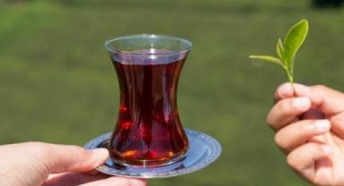 Türk çayı ihracatı 10 ayda 19,8 milyon doları aştı
