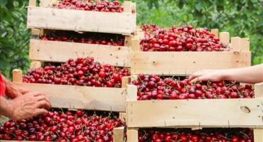 DP World Lojistik Türkiye, geniş hizmet ağıyla operasyonlarını güçlendiriyor