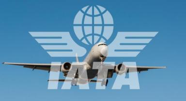 Hava yolu sektörü gelirlerinin 2025'te ilk defa 1 trilyon doları aşması bekleniyor