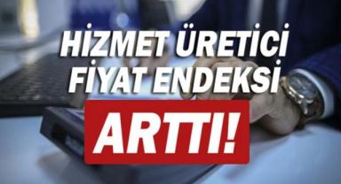 Hizmet Üretici Fiyat Endeksi kasımda aylık yüzde 0,76 azalırken yıllık yüzde 53,44 arttı